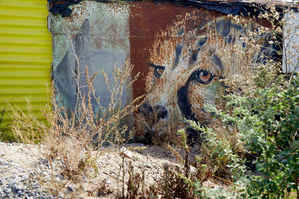 Khayelitsha township South Africa Martin Perry