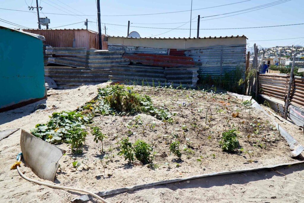 Khayelitsha township South Africa Martin Perry