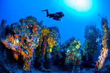 Malta is the world's second best dive site