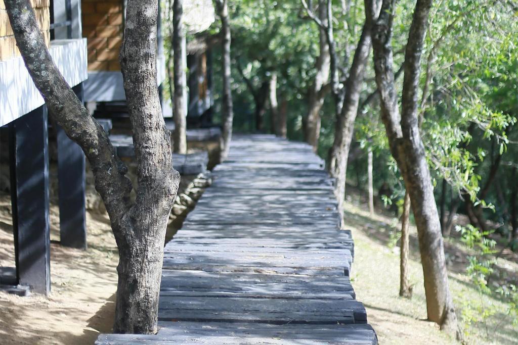 Dambale Boutique Chalets, Dambulla, Sri Lanka