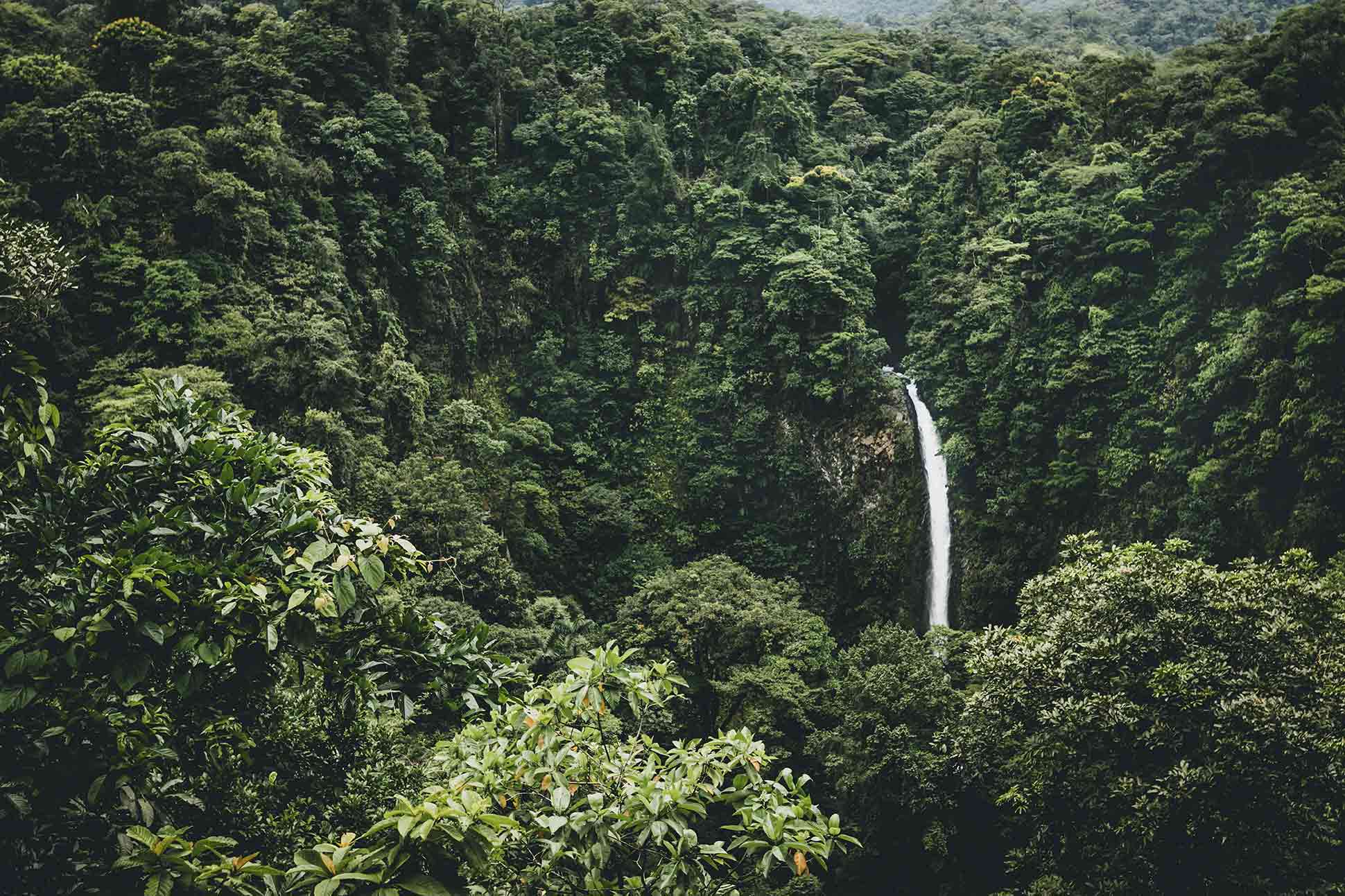 behold retreats costa rica