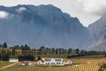 Brookdale Estate in Paarl, South Africa