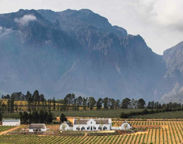 Brookdale Estate in Paarl, South Africa