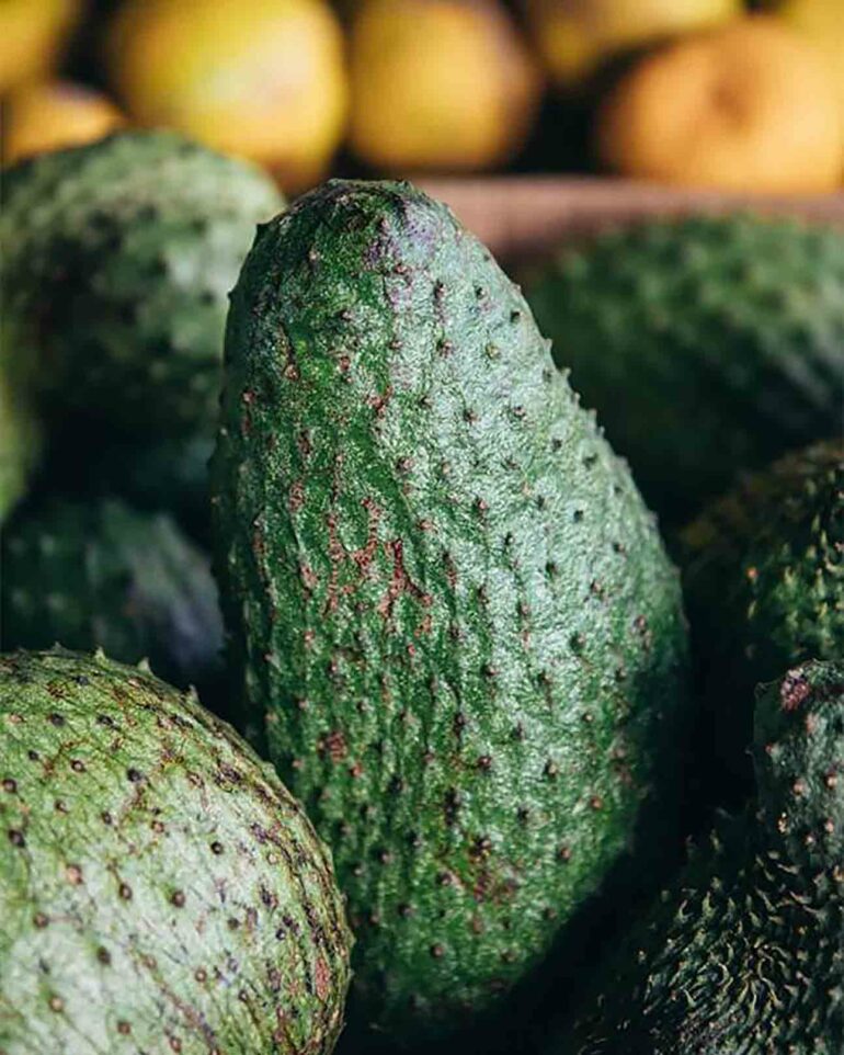 Soursop at Bequia Beach Hotel, Belmont, Bequia, Saint Vincent and the Grenadines