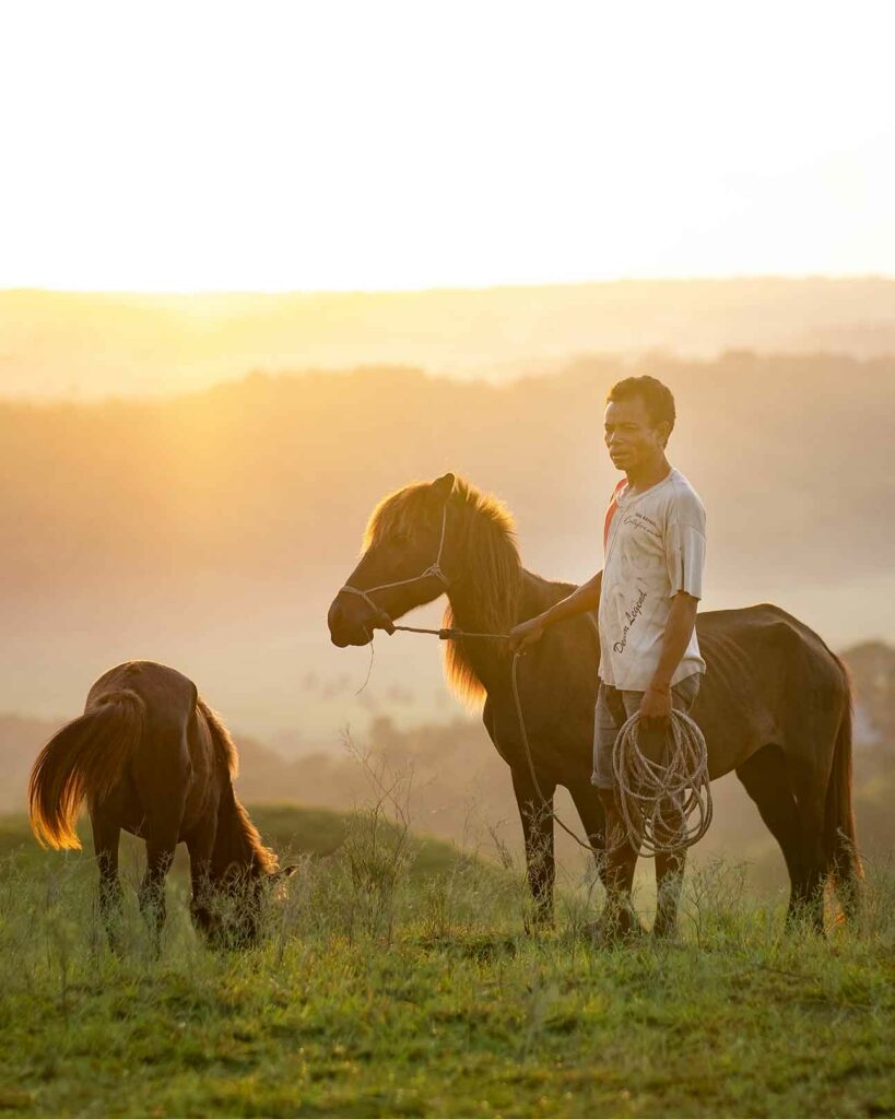 A local with horses outside Lelewatu Resort, Sumba, Indonesia