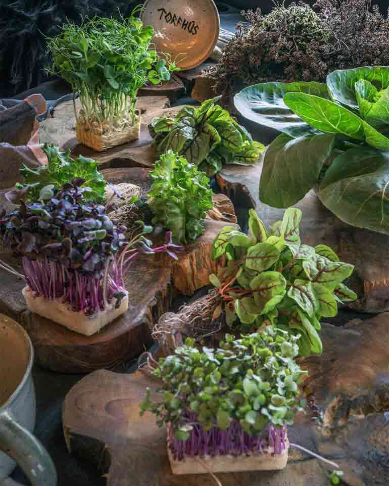 Locally sourced ingredients at Torfhús Retreat, Selfoss, Iceland