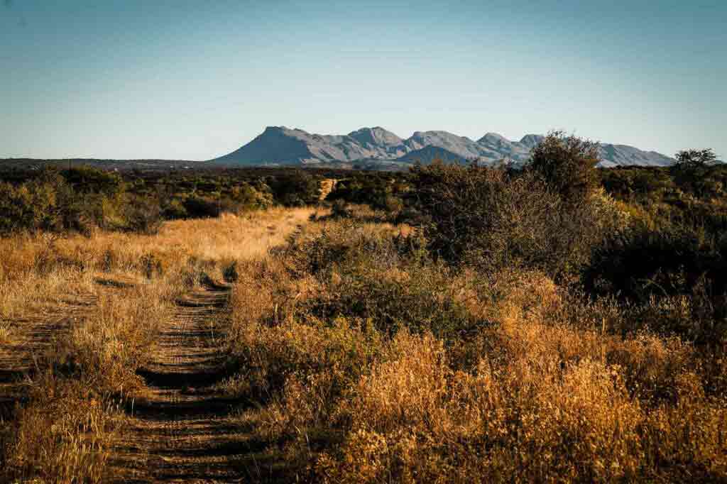 An excursion at Zannier Hotels Omaanda, Namibia