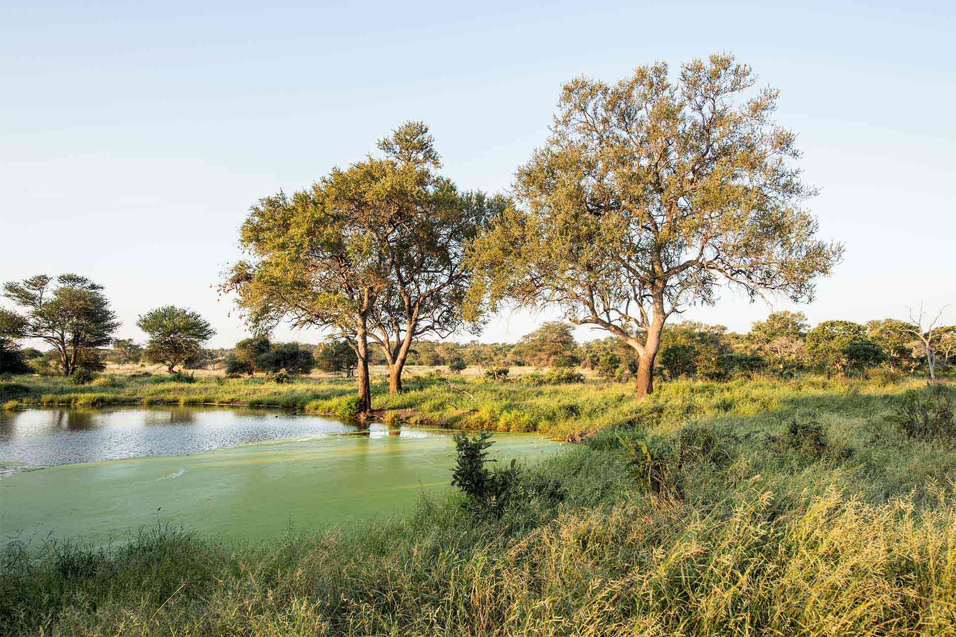 Landscape near Singita Lebombo Lodge, Kruger, South Africa