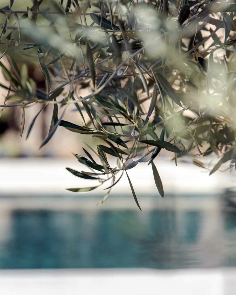 Garden detail at Can Ferrereta, Santanyí, Mallorca, Spain