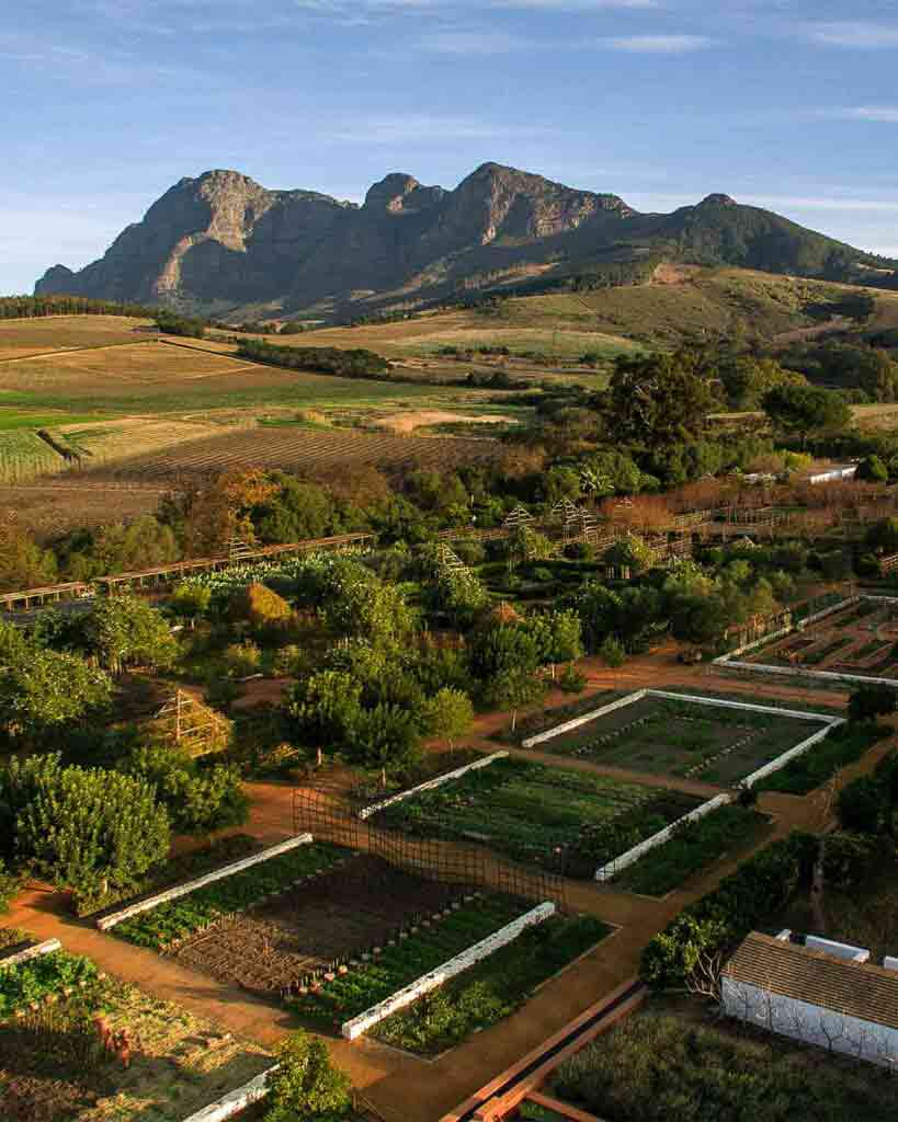 Aerial view of the gardens at Fynbos Family House, Babylonstoren, South Africa