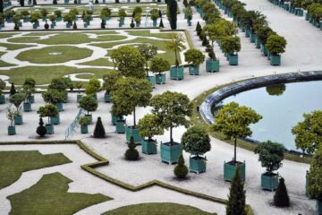 The Orangerie at Versailles