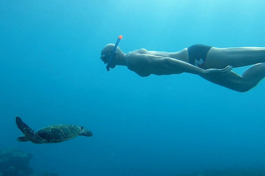 Snorkelling with sea turtle Soneva Maldives