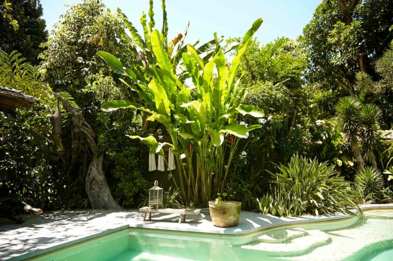 Poolside vegetation at Uxua Casa Hotel, Trancoso, Brazil