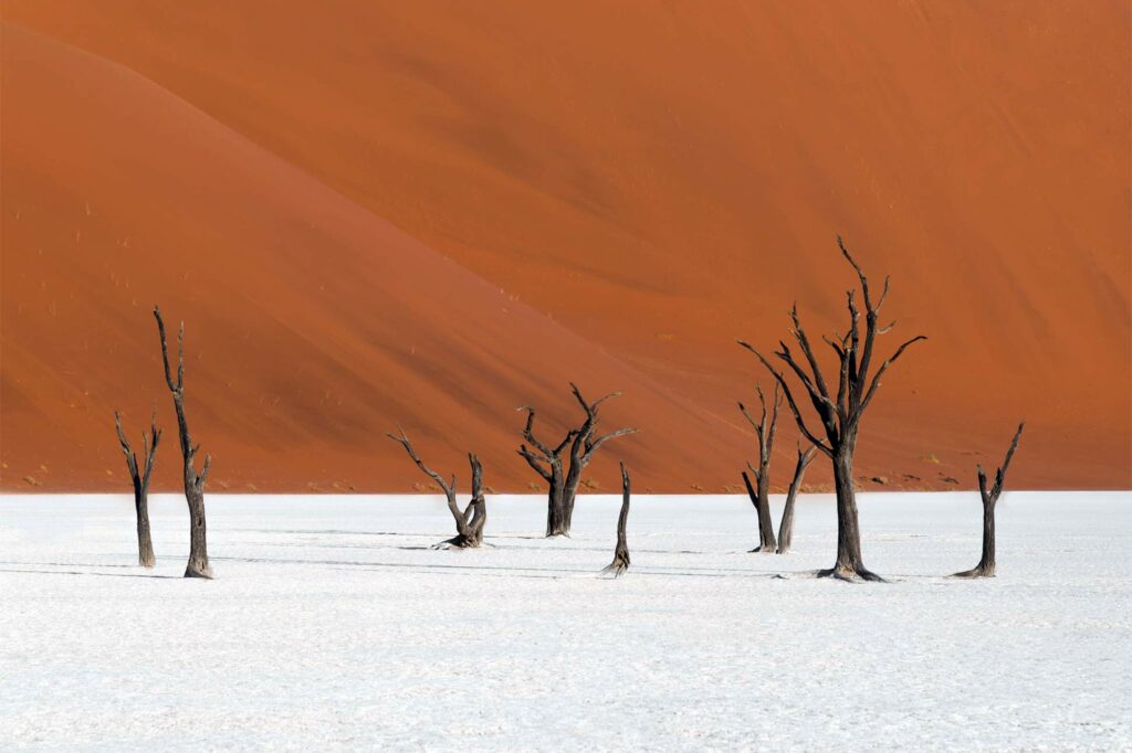 Deserts of Namibia