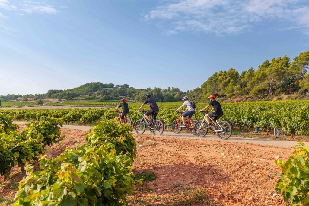 Self-guided biking tour around the vineyards of southern France