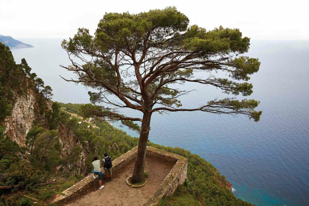 La Residencia Belmond Mallorca landscape