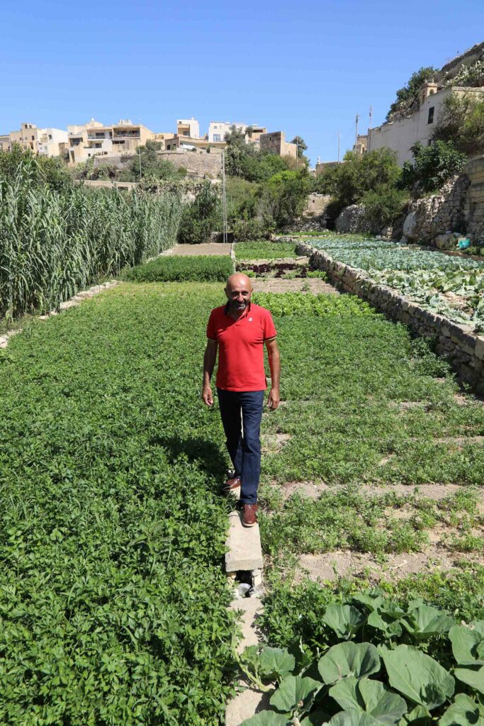 Ta Phillip Farm to Table in Gozo
