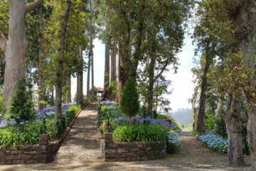 Quinta da Serra Madeira Portugal grounds