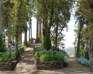 Quinta da Serra Madeira Portugal grounds