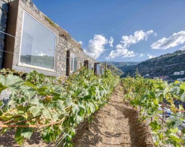 Socalco Nature Hotel Madeira