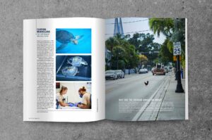 OutThere Thailand Rediscovered Issue