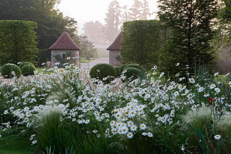 Flower beds in Charente, France