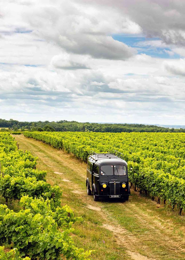 Bourgoin Cognac production, Charente, France