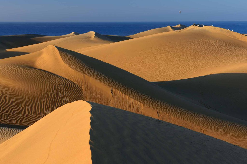 Dunes of Maspalomas, in the Canary Islands 