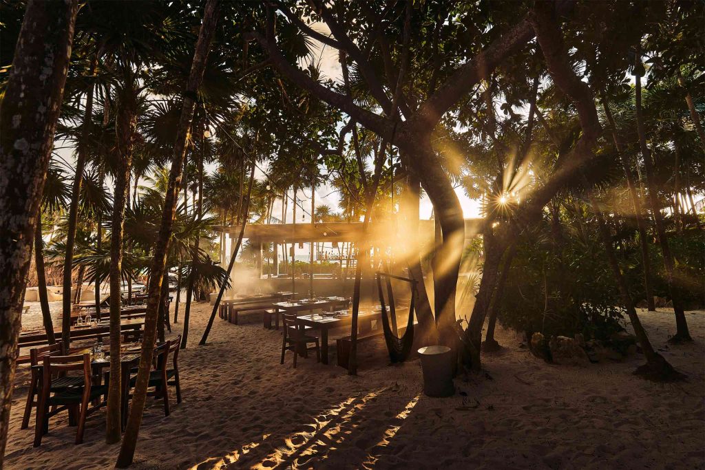 Early morning at Habitas Tulum, Riviera Maya, Mexico