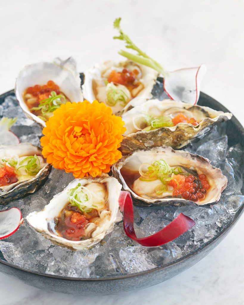 Oysters served in Cape Town, South Africa