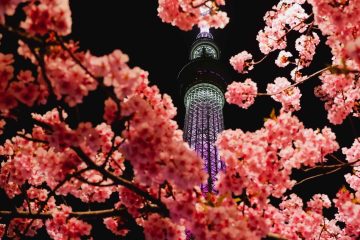 Tokyo skytree, Japan