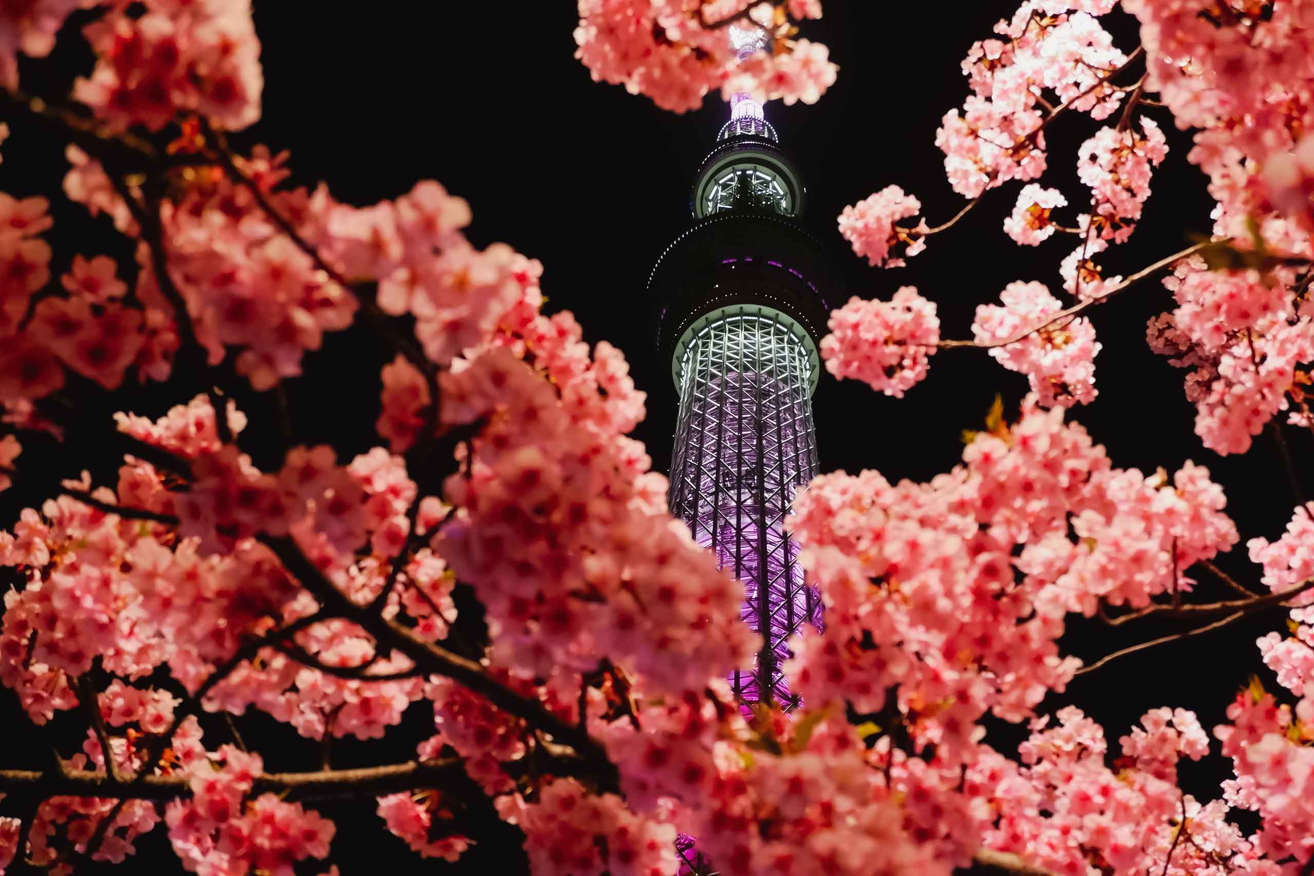 Tokyo skytree, Japan