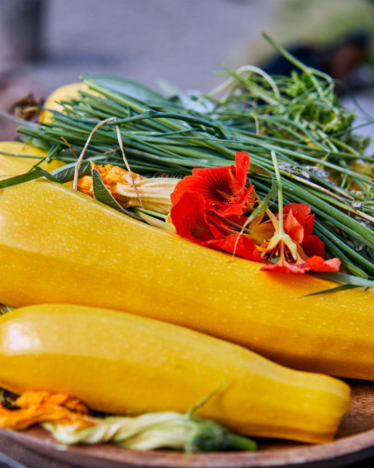 Fresh vegetables at Hof Flieht, Uckermark, Germany