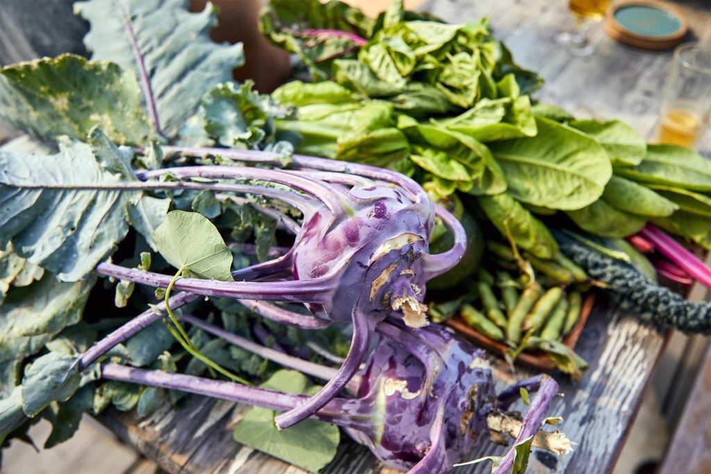 The daily harvest at Hof Flieht, Uckermark, Germany