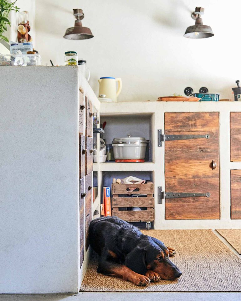 A dog takes a nap at Hof Flieht, Uckermark, Germany