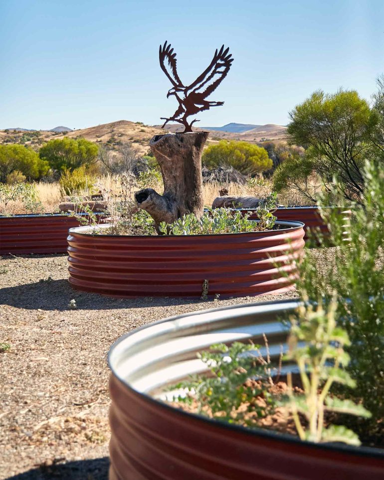 An eagle sculpture in South Australia, Australia