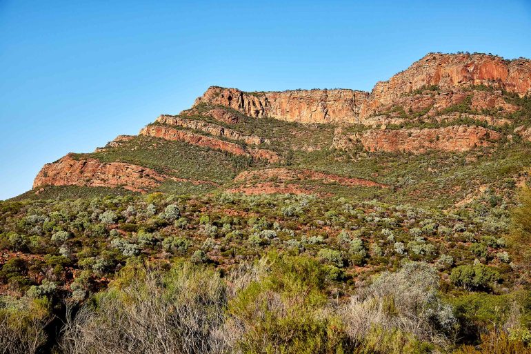 View over a landscape in Flinders Ranges, South Australia, Australia
