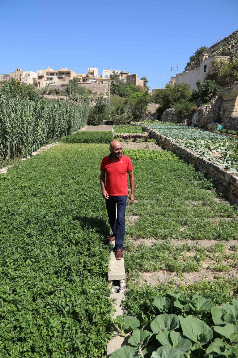 Philip Spiteri on his lush green farm in Gozo, Malta