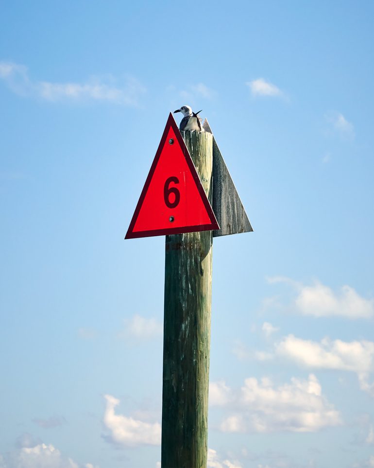 A gull sits on a waterway sign in The Florida Keys and Key West, Florida, USA