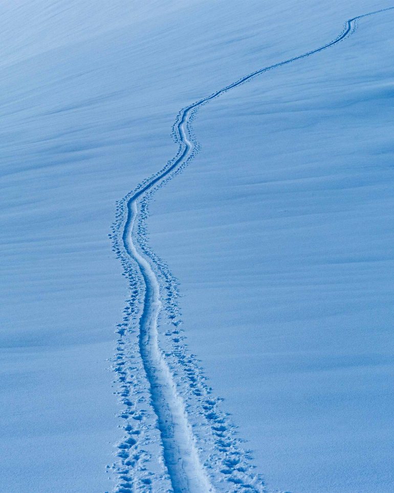 Tracks in the fresh snow of Swedish Lapland, Sweden