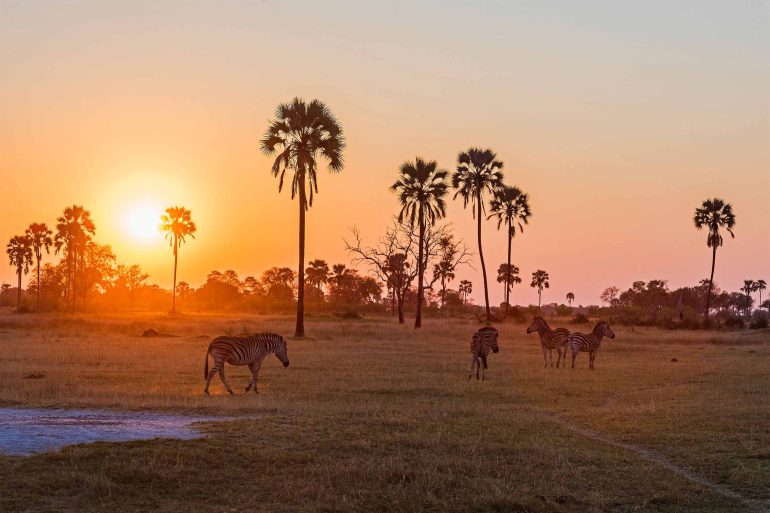 Sunset over the Moremi Game Reserve, Botswana