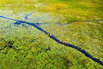 Aerial view of the Okavango Delta, Moremi Game Reserve, Botswana