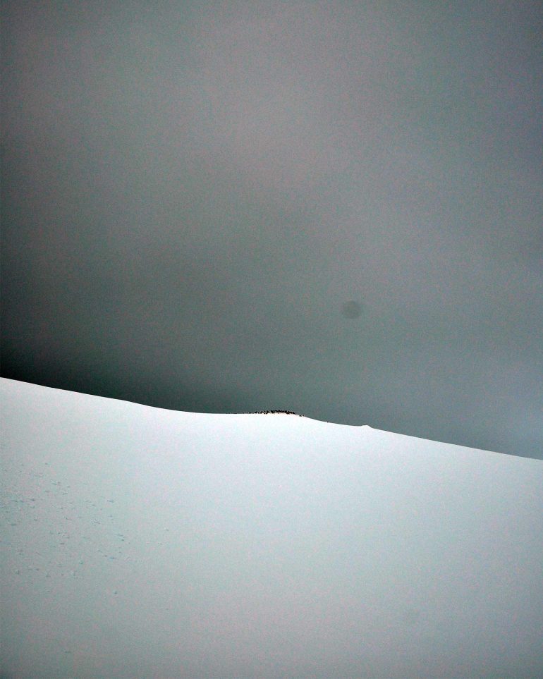 A colony of penguins atop a hill in Antarctica