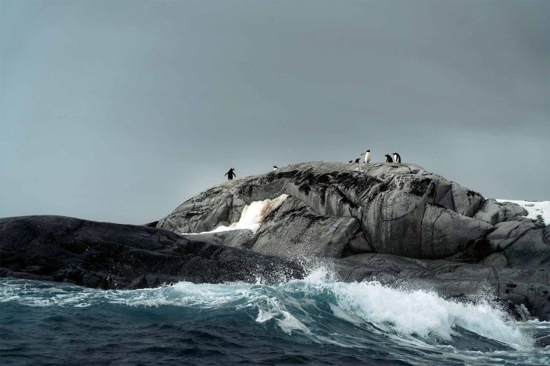 Penguins sit atop a rock in the sea of Antartica