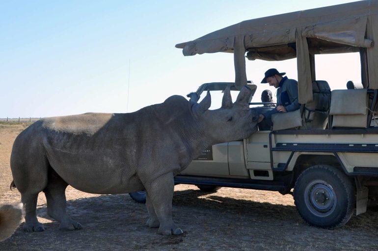 Steffen Michels meets Najin and Fatu, the world's last two Northern white rhinos, in the Ol Pejeta Conservancy, Kenya