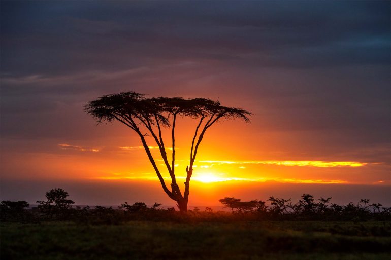 Sunset in the Masai Mara, Kenya
