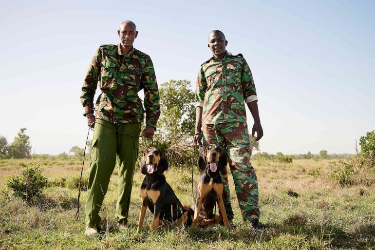 Two rangers with dogs from 'the K9' unit of the Ol Pejeta Conservancy, Kenya