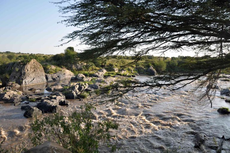 A stream running through the Masai Mara, Kenya