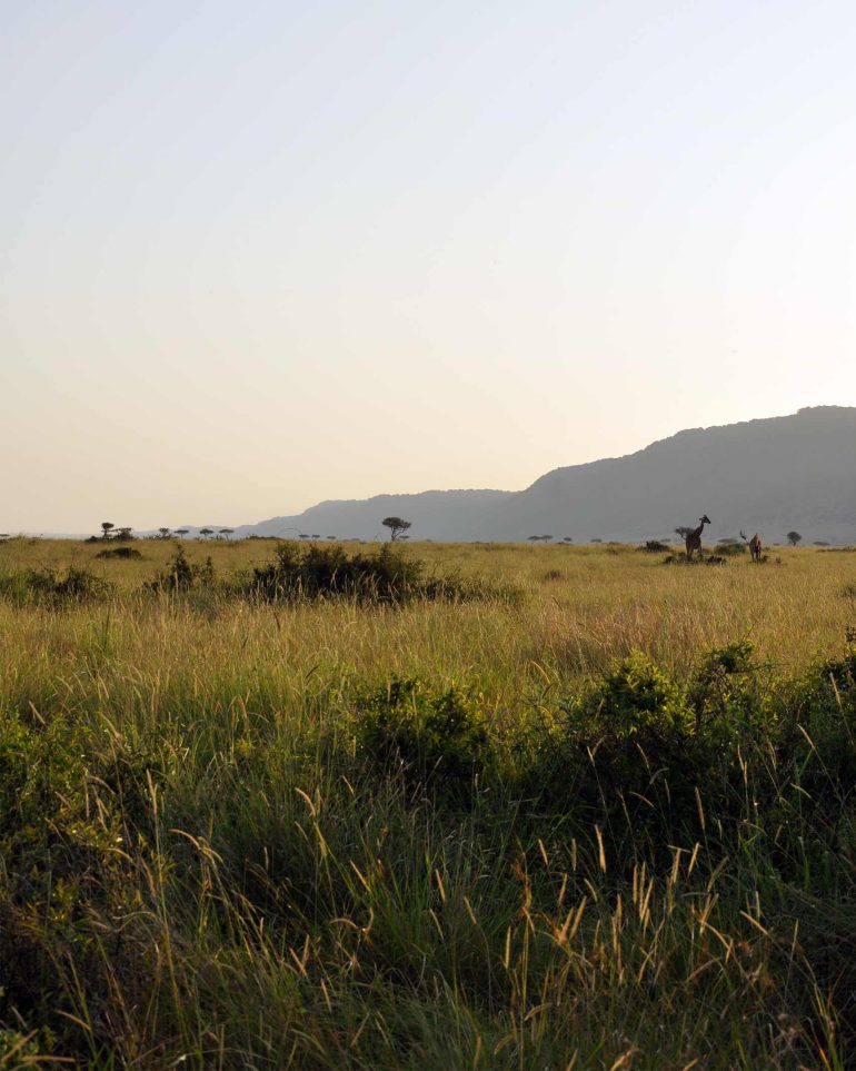 The sun sets over the Oloololo Escarpment in the Masai Mara, Kenya