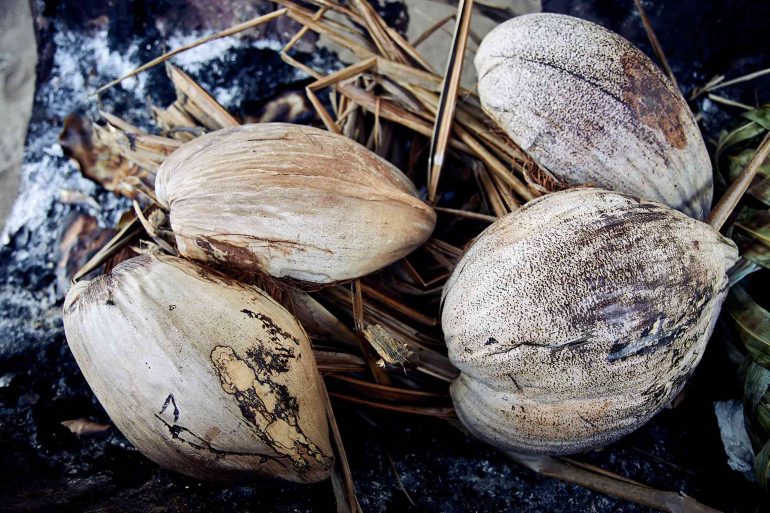 Palm tree fruits in The Islands of Tahiti, French Polynesia
